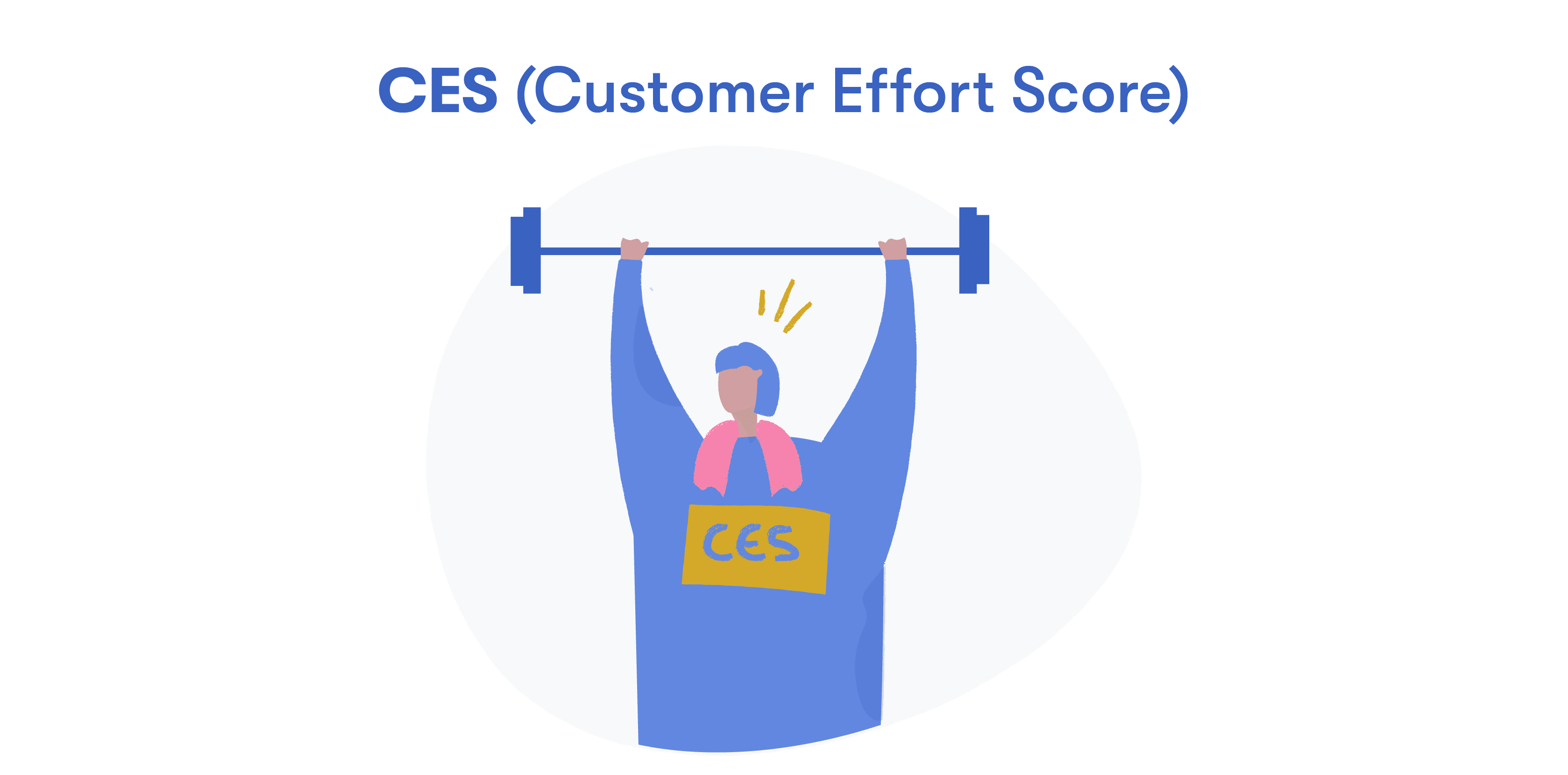 CES (Customer Effort Score)